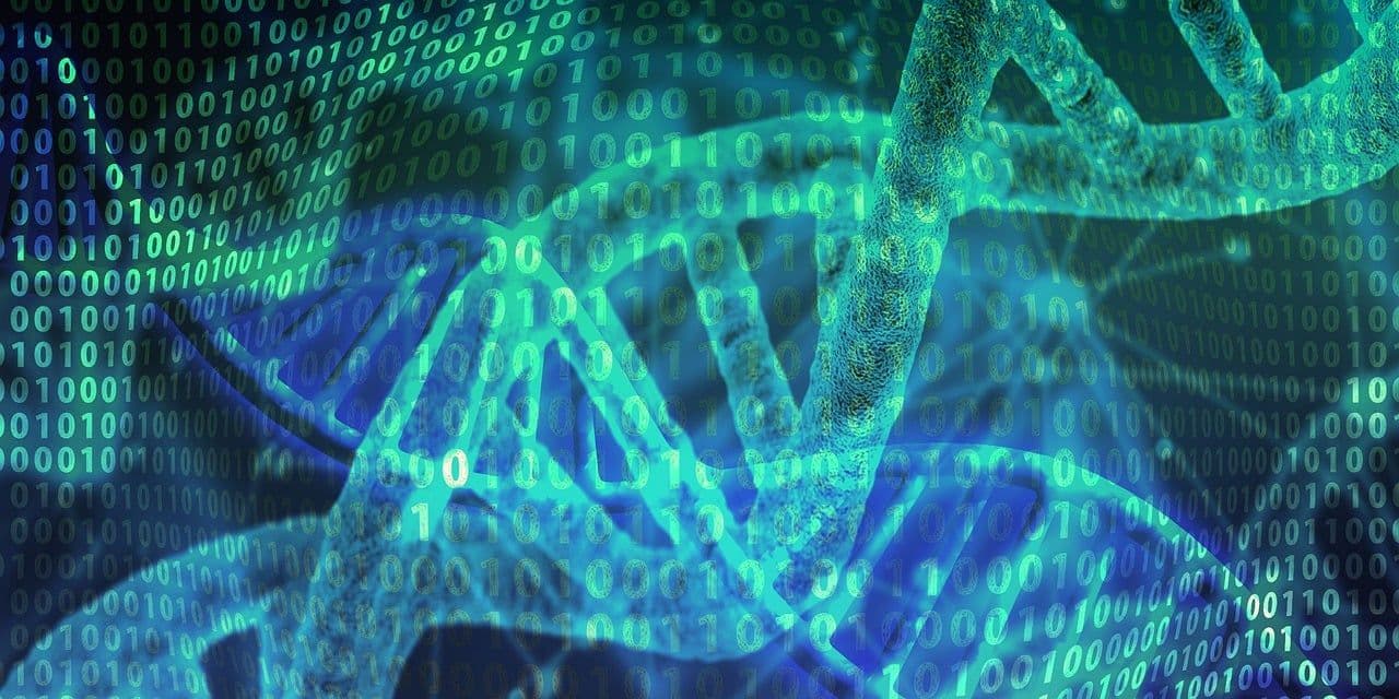 Anagha Rajesh's DNA Data Storage Research: What BioCompute Is Building