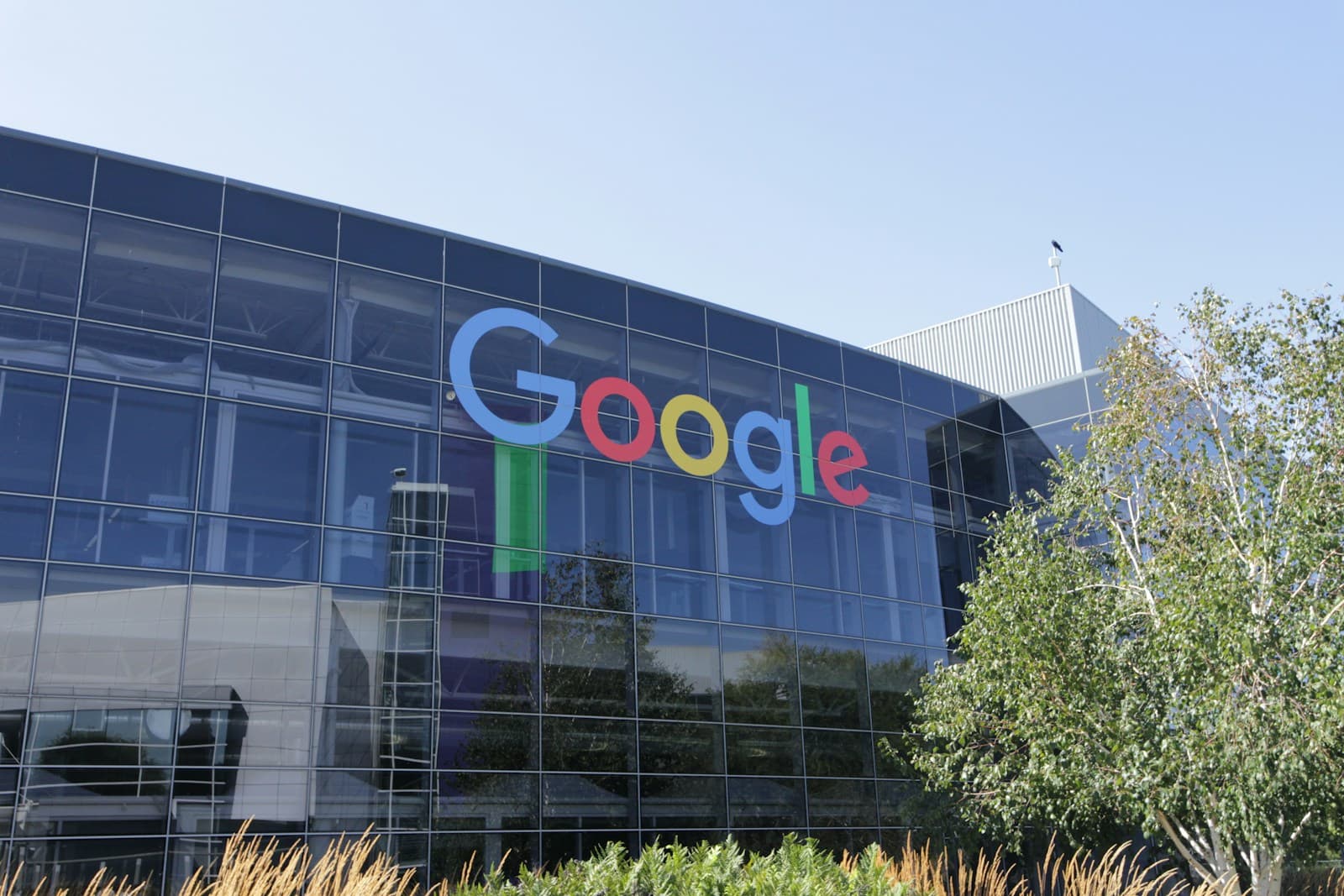 Alphabet Stock Fall: Why Google Lost $500bn in Market Value
